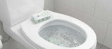 Load image into Gallery viewer, Toilet Fizzies- Lavender Eucalyptus
